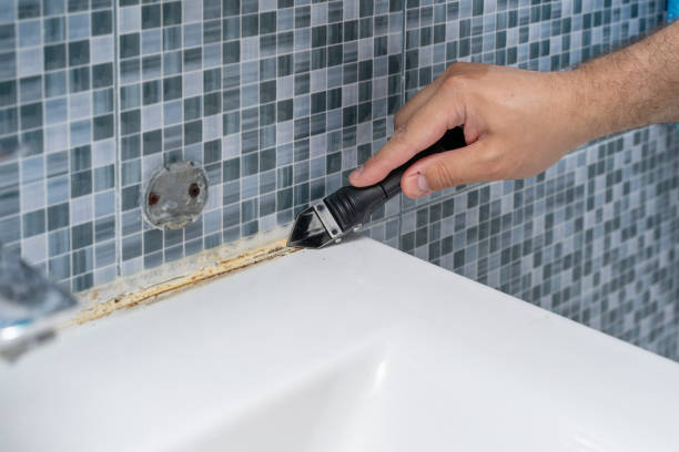 Best Black Mold Removal  in Thorntown, IN